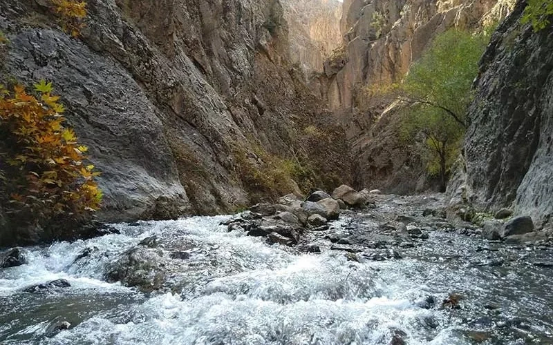 درهٔ ارتکند