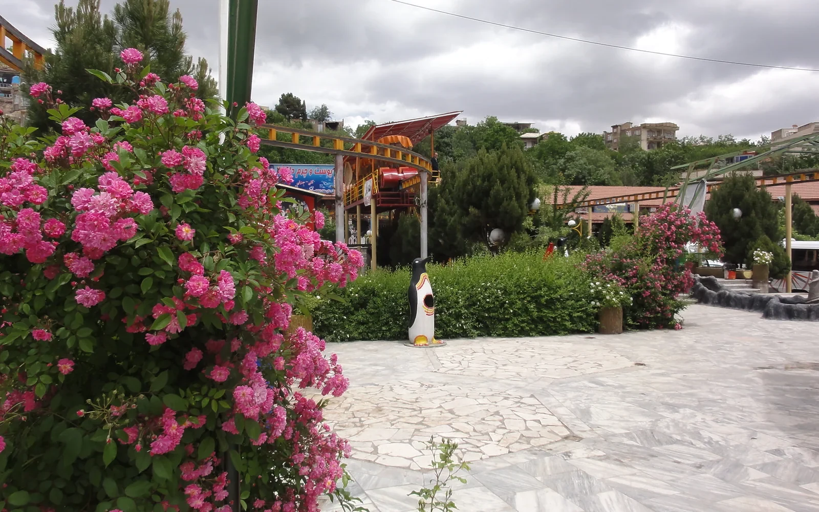 تور ویژه پیشنهادی